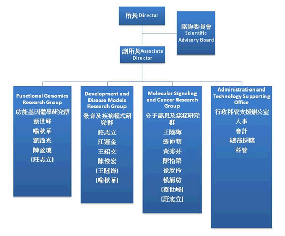 Organization chart